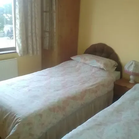 Shamrock House Killarney