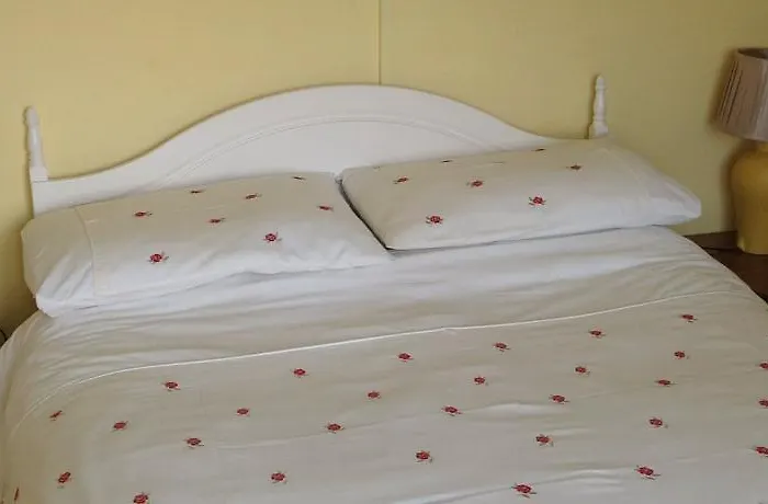 Alojamento de Acomodação e Pequeno-almoço Shamrock House 3*