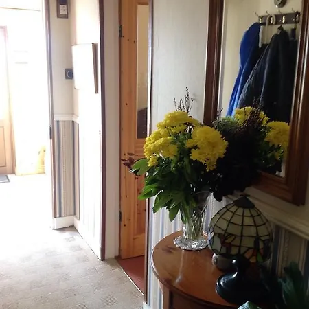 فندق مبيت وإفطار Shamrock House كيلارني