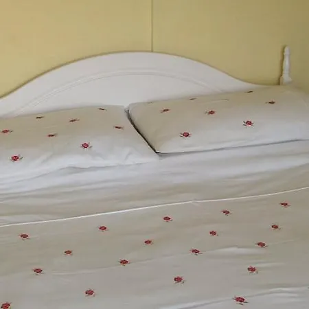 فندق مبيت وإفطار Shamrock House 3*