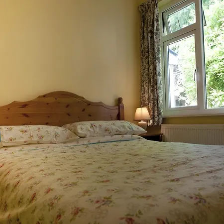 Shamrock House كيلارني