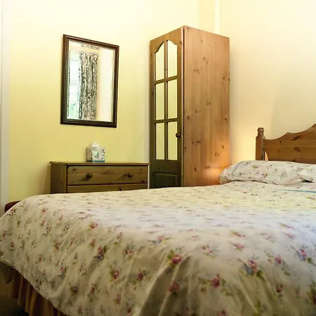 Shamrock House كيلارني