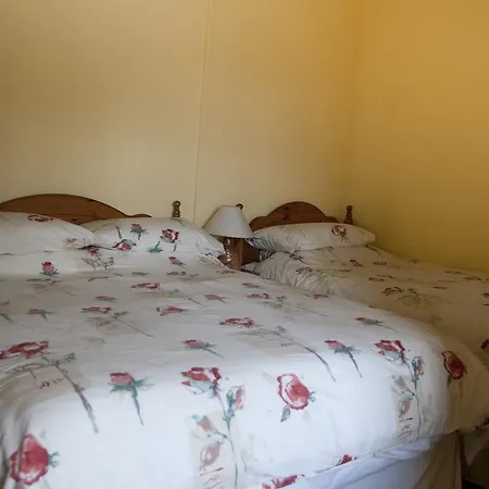 فندق مبيت وإفطار Shamrock House كيلارني