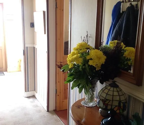 Bed & Breakfast Shamrock House Killarney