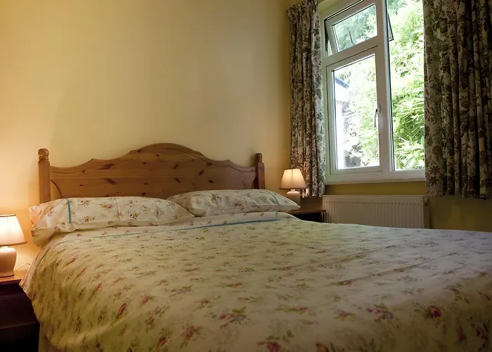 Shamrock House Killarney