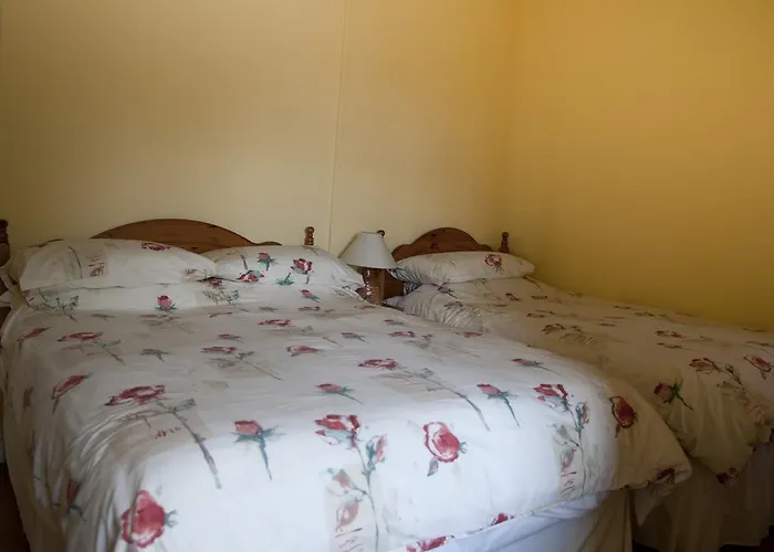 Bed & Breakfast Shamrock House Killarney